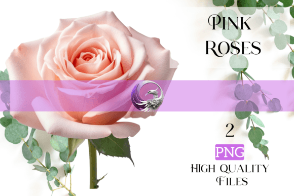 Embrace Summer's Charm with Pink Roses for Your Designs