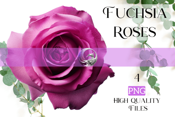 Fuchsia Roses: A Modern Serif for Bold Digital Design